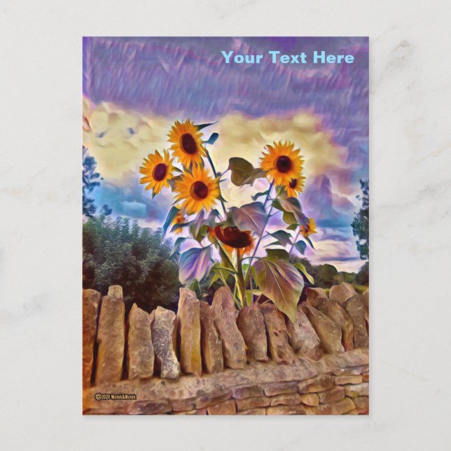 Sunflowers On Rock Wall Postcard (Front)