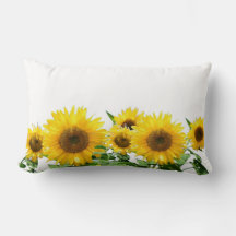 Sunflowers on white