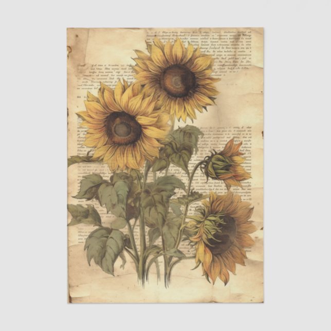 Sunflowers on Worn Style Parchment with Script Tissue Paper (Front)