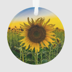 Sunflowers Ornament