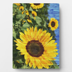 Sunflowers Painted Fence Plaque