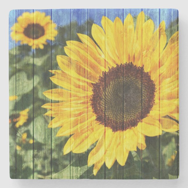 Sunflowers Painted Fence Stone Coaster (Front)