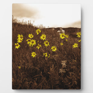 Sunflowers Plaque