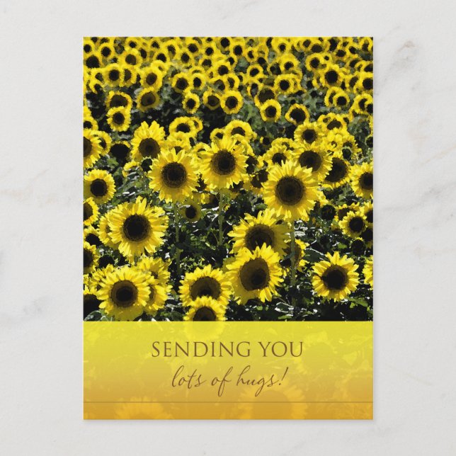 Sunflowers Postcard / Sending You Lots of Hugs (Front)