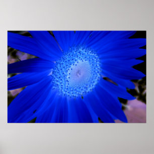 Sunflowers Poster