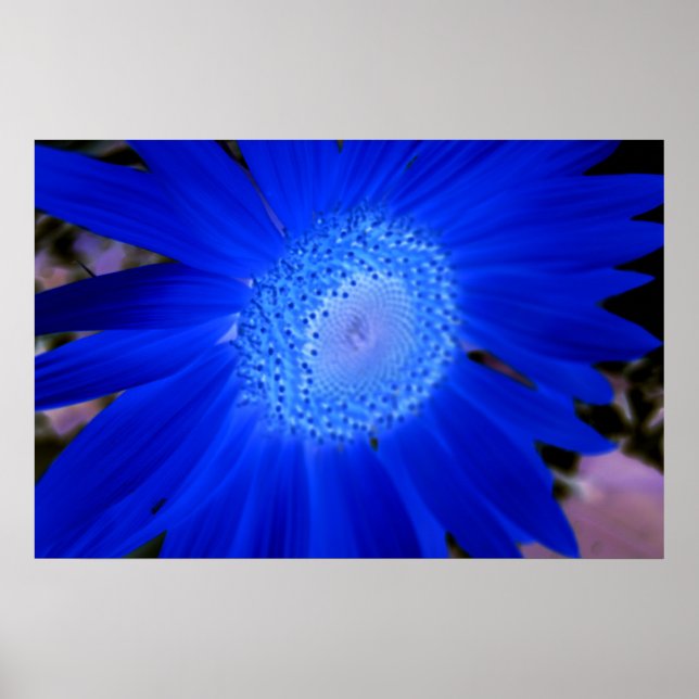 Sunflowers Poster (Front)