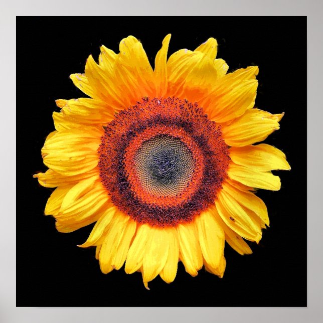 SUNFLOWERS POSTER (Front)