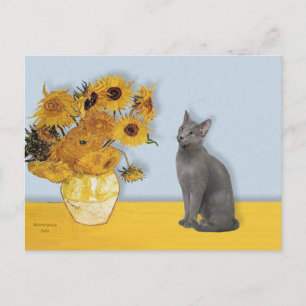 Sunflowers - Russian Blue cat Postcard