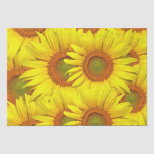 Sunflowers Rustic Country Floral Summer Yellow Tissue Paper