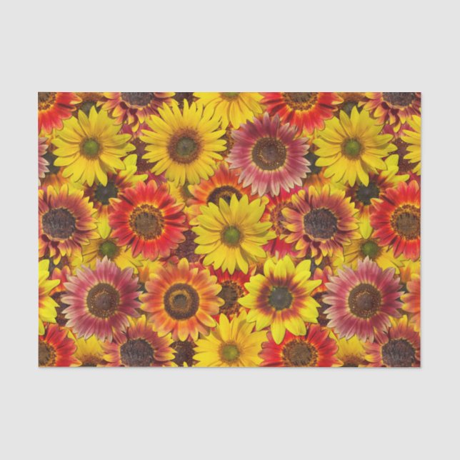 Sunflowers Seamless Pattern Tissue Paper (Front)