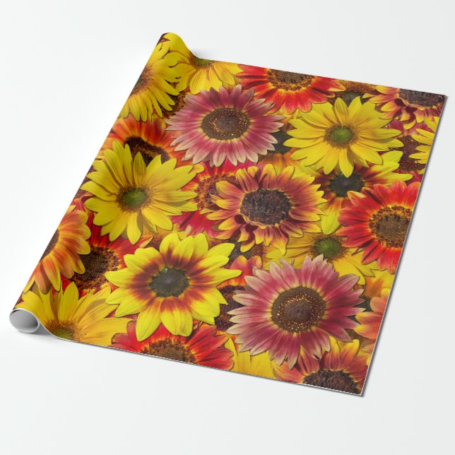 Sunflowers Seamless Pattern Wrapping Paper (Unrolled)