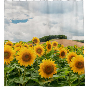 Sunflowers Shower Curtain