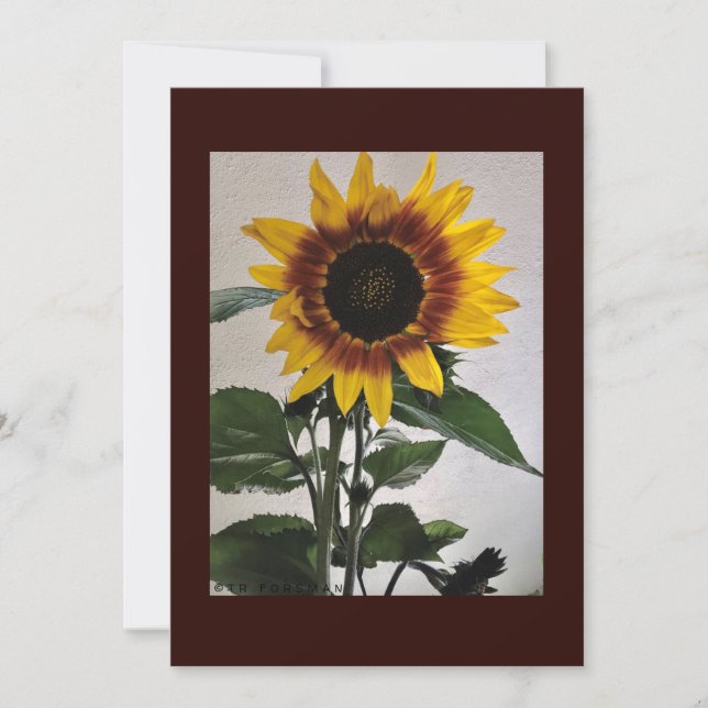 Sunflowers simple note card for handwritten (Front)