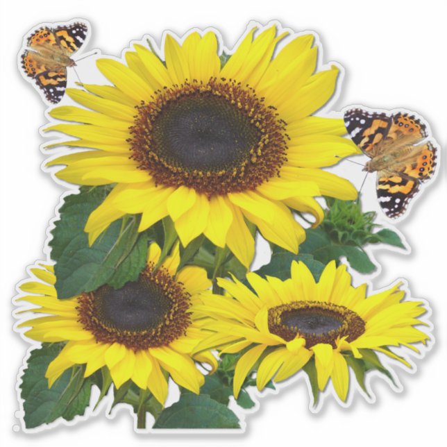 Sunflowers Sticker (Front)