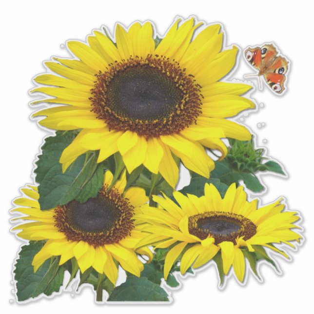 Sunflowers Sticker (Front)
