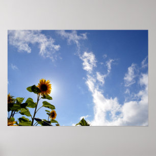 Sunflowers & Sunshine Poster