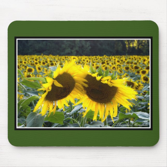 Sunflowers Together Mousepad by Thomas Minutolo (Front)
