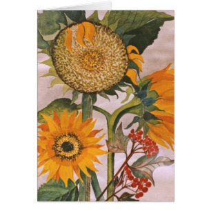 Sunflowers Watercolor Painting 3 Sunflower Flower