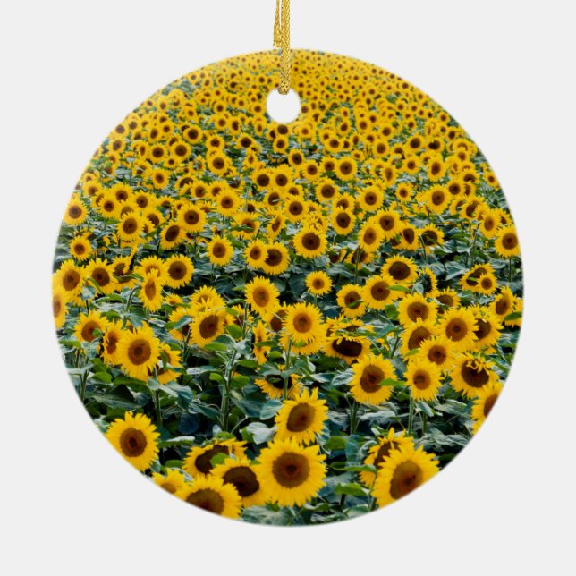 Sunflowers, Wisconsin field Ceramic Tree Decoration (Back)