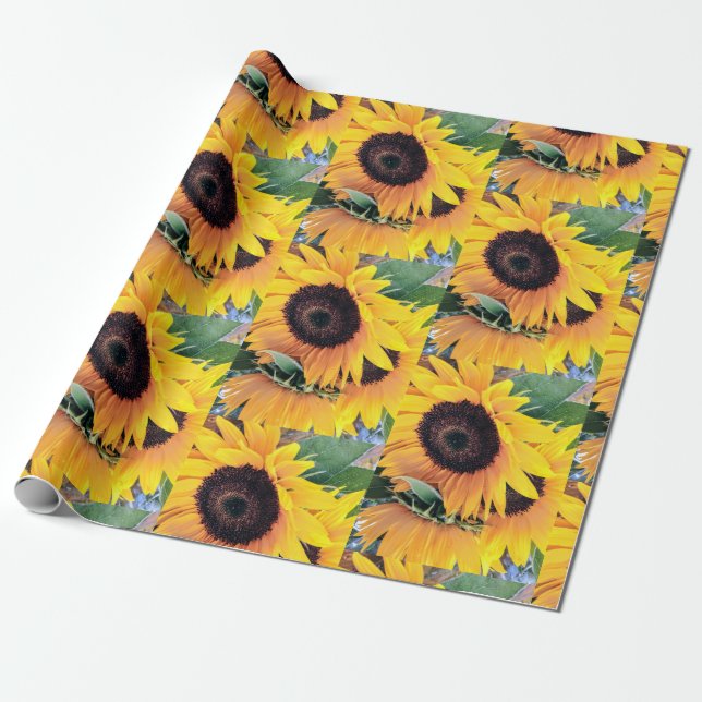 Sunflowers Wrapping Paper (Unrolled)