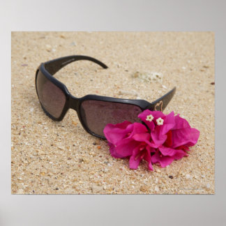 Sunglasses and bougainvillia flowers on coral poster