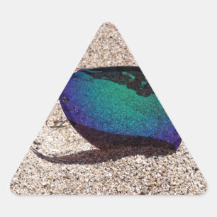 Sunglasses Triangle Sticker