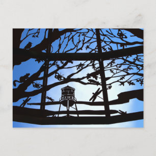 Sunken Gardens Dome postcard 7