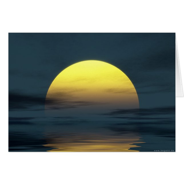 sunlight (Front Horizontal)