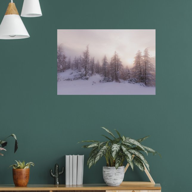 Sunlight and spruce forest poster (Living Room 1)
