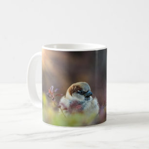 Sunlight Bathing Finch Coffee Mug