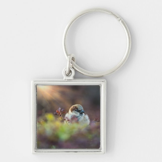 Sunlight Bathing Finch Key Ring (Front)