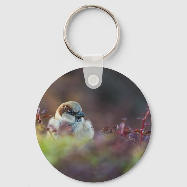 Sunlight Bathing Finch Key Ring (Front)