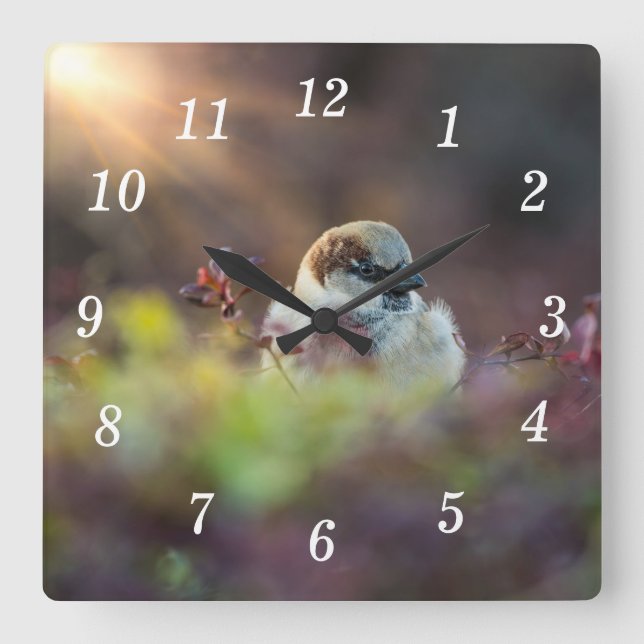 Sunlight Bathing Finch Wall Clock (Front)