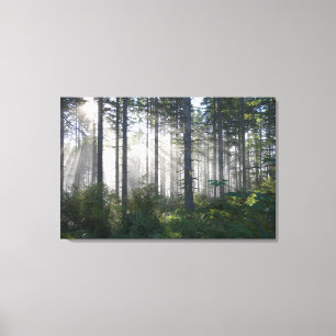 Sunlight Breaking Through a Misty Forest Canvas Print