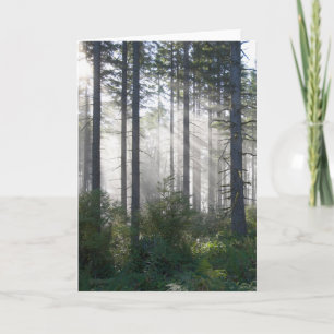 Sunlight Breaking Through a Misty Forest Card