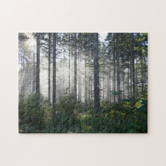 Sunlight Breaking Through a Misty Forest Jigsaw Puzzle (Horizontal)