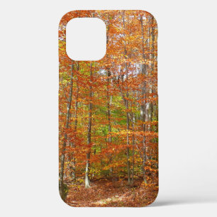 Sunlight Dappled Fall Trail at Laurel Hill Park iPhone 12 Case