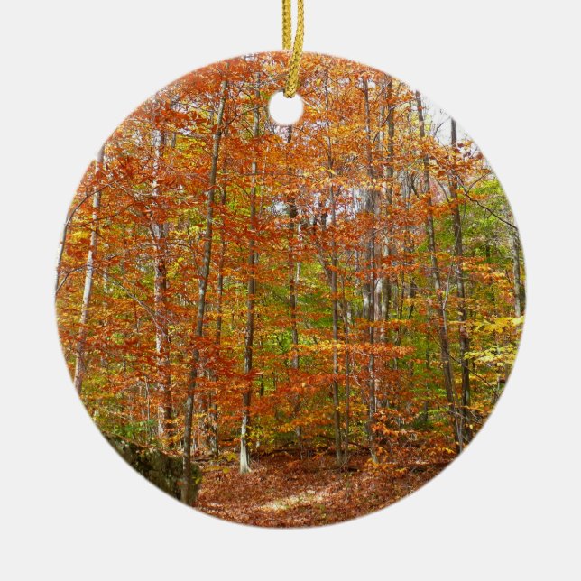Sunlight Dappled Fall Trail at Laurel Hill Park Ceramic Tree Decoration (Front)