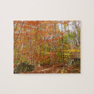 Sunlight Dappled Fall Trail at Laurel Hill Park Jigsaw Puzzle