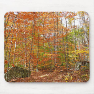 Sunlight Dappled Fall Trail at Laurel Hill Park Mouse Pad