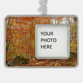 Sunlight Dappled Fall Trail at Laurel Hill Park Silver Plated Framed Ornament