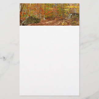 Sunlight Dappled Fall Trail at Laurel Hill Park Stationery