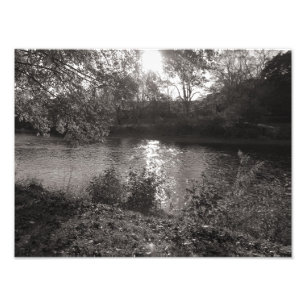 Sunlight on the Taff, Bute Park, Cardiff Photo Print