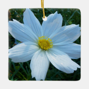Sunlight on White Cosmos Flower Floral Ceramic Ornament