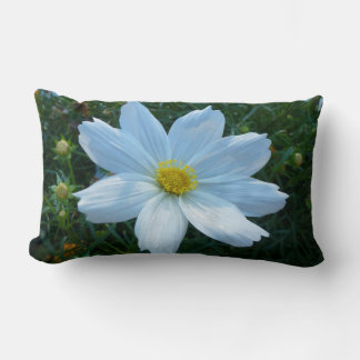 Sunlight on White Cosmos Flower Floral Lumbar Cushion