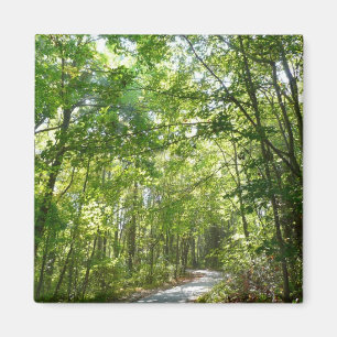 Sunlight on Wooded Path at Centennial Park Magnet