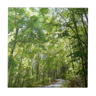 Sunlight on Wooded Path at Centennial Park Tile