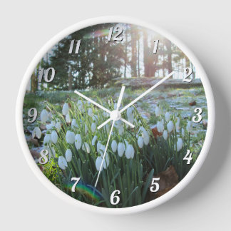 Sunlight Peeks at Snowdrops in Light Snow - Round Clock