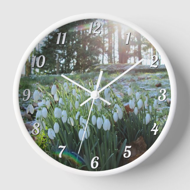 Sunlight Peeks at Snowdrops in Light Snow - Round Clock (Front)