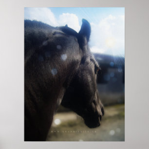 Sunlight - Poster